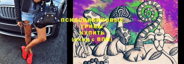 таблы Арсеньев