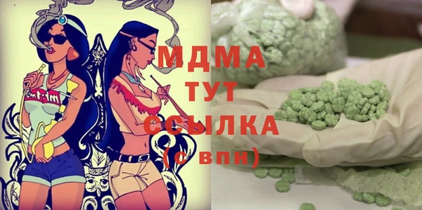 индика Покачи
