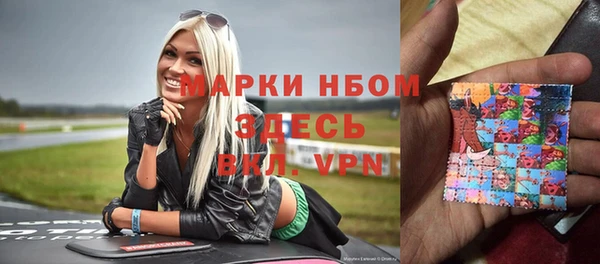 индика Покачи