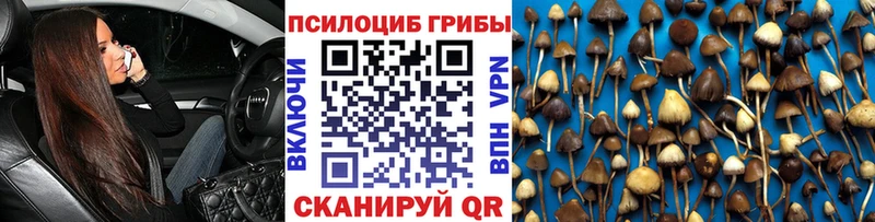 Псилоцибиновые грибы ЛСД  маркетплейс какой сайт  Валуйки 